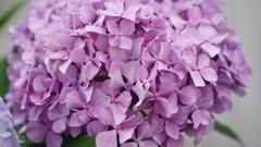 DSC00500