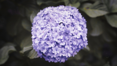 DSC00515_edit