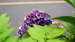DSC00583
