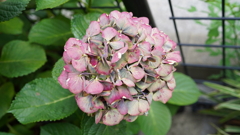 DSC00588