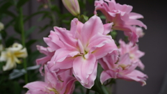 DSC00576