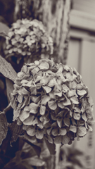 DSC00540_edit