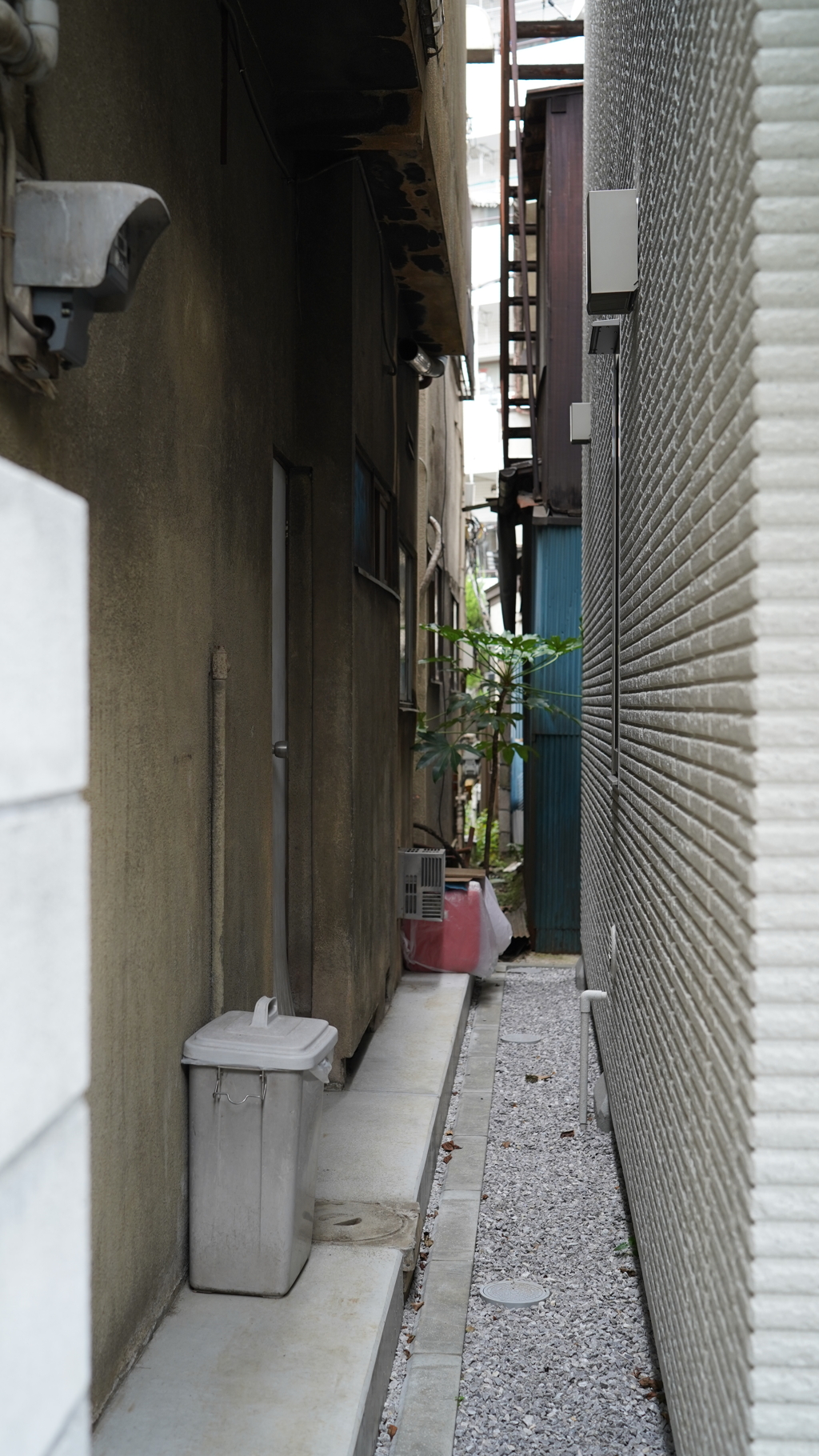 DSC00608