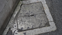 DSC00600