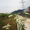 夕餉までの土手筋で（線路の傍に）