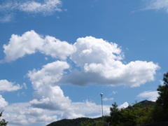 日々の夏空