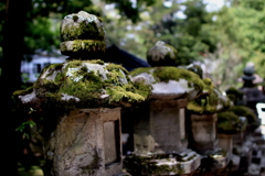 苔むす