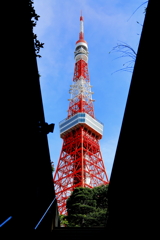 スポット