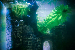 弟の小さな王国