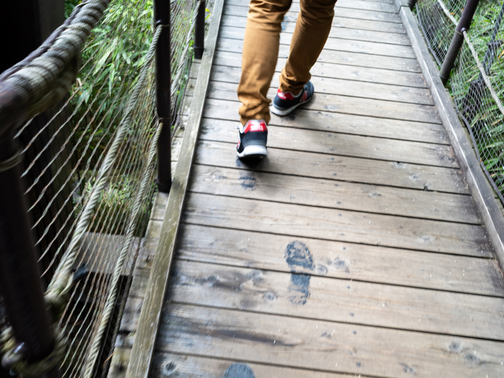 箱根旅行