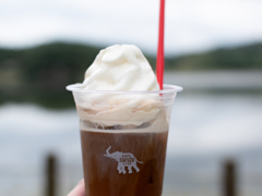 うまっ！て声が出るほどおいしかったコーヒーフロートのソフト部分