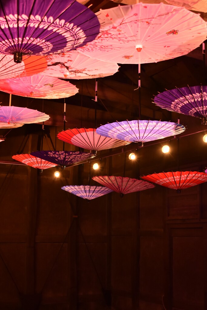番傘ライトアップ01