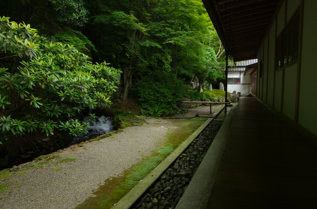 鹿苑山漢陽寺　潮音洞