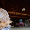 木魚