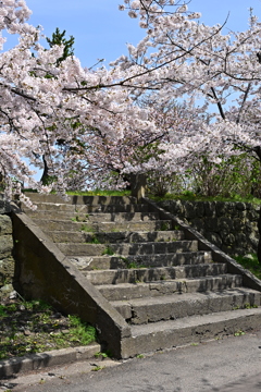 石垣と階段