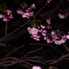 手持ちでぽん