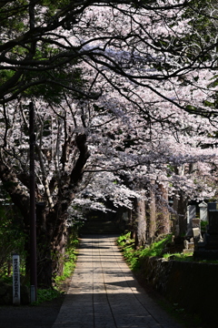 お寺が多い地域です