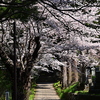 お寺が多い地域です