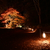 紅葉へ続く道