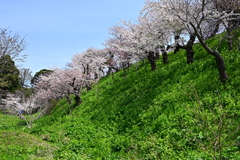 青とピンクと緑