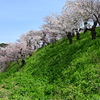 青とピンクと緑