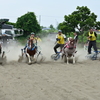 ポニーばん馬 レーススタート