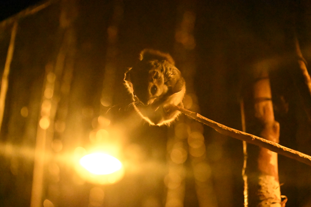 ISO51200