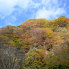 秋、来たる
