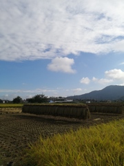 ハゼ掛け