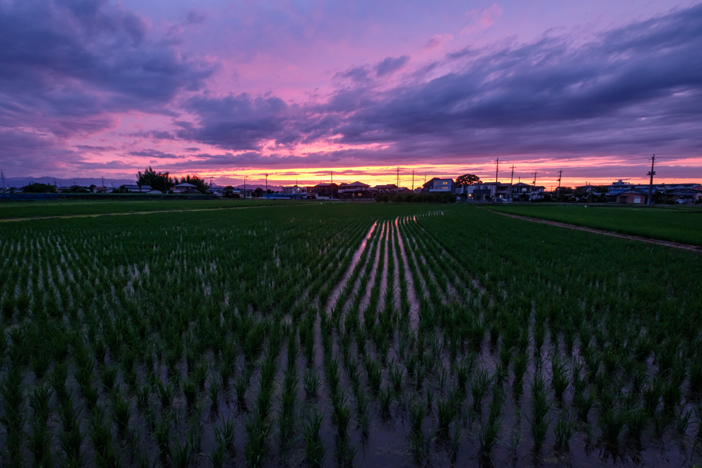 夕暮れ