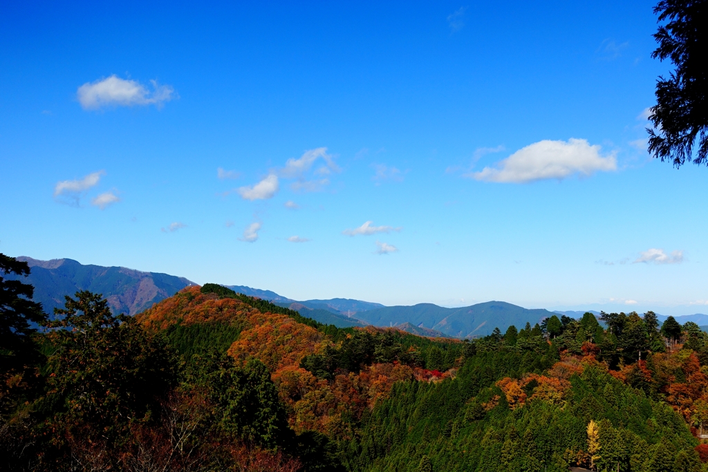 御岳山からの紅葉