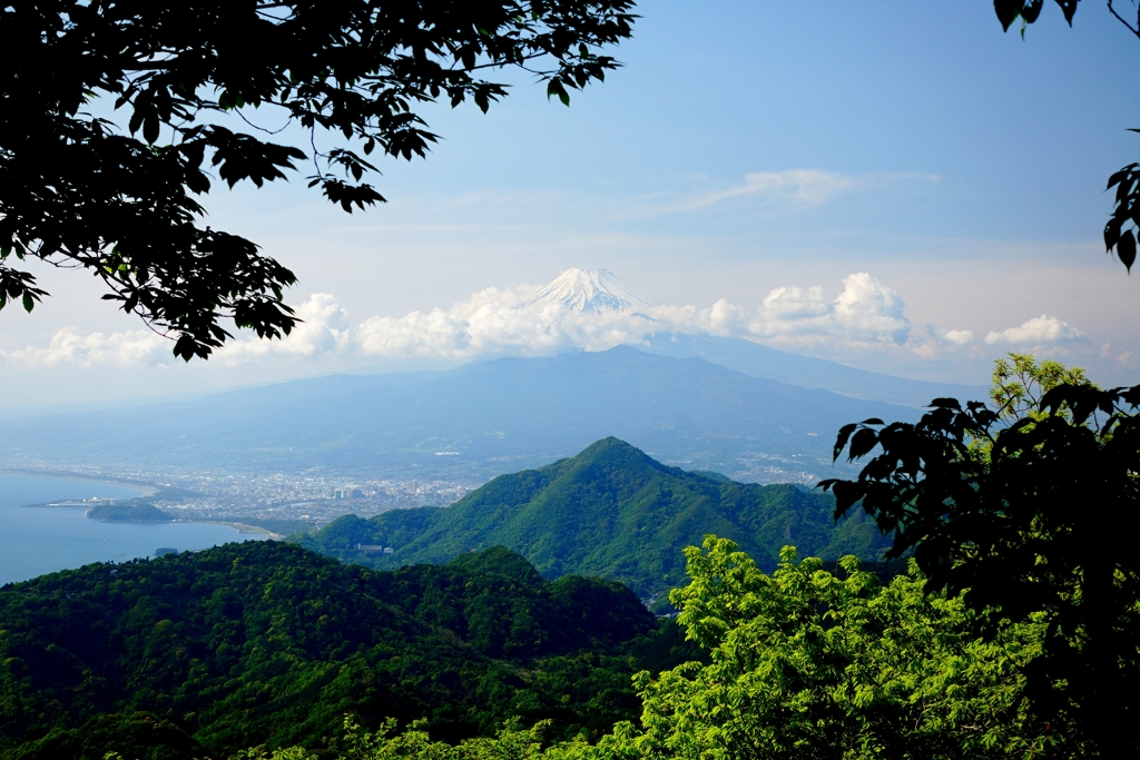 富士見テラスからの富士山