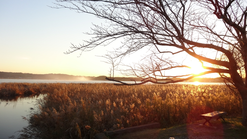手賀沼・秋の夕焼け