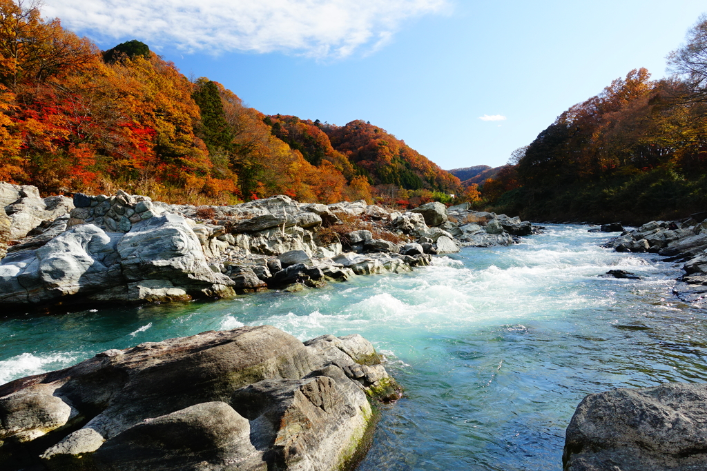 紅葉の長瀞