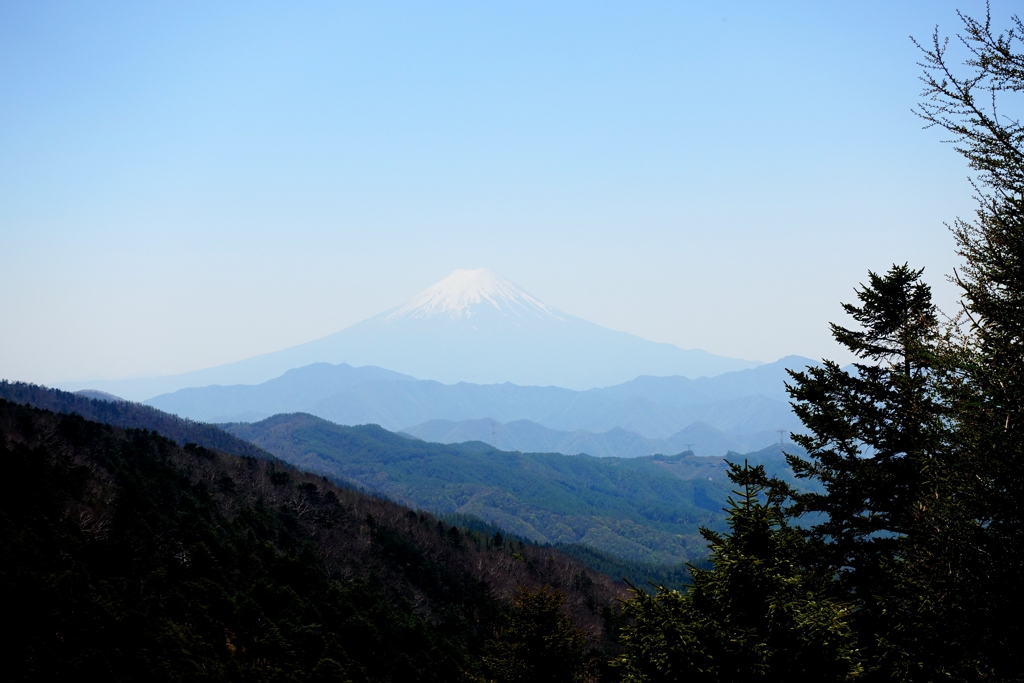 富士山・・・のユーレイ笑