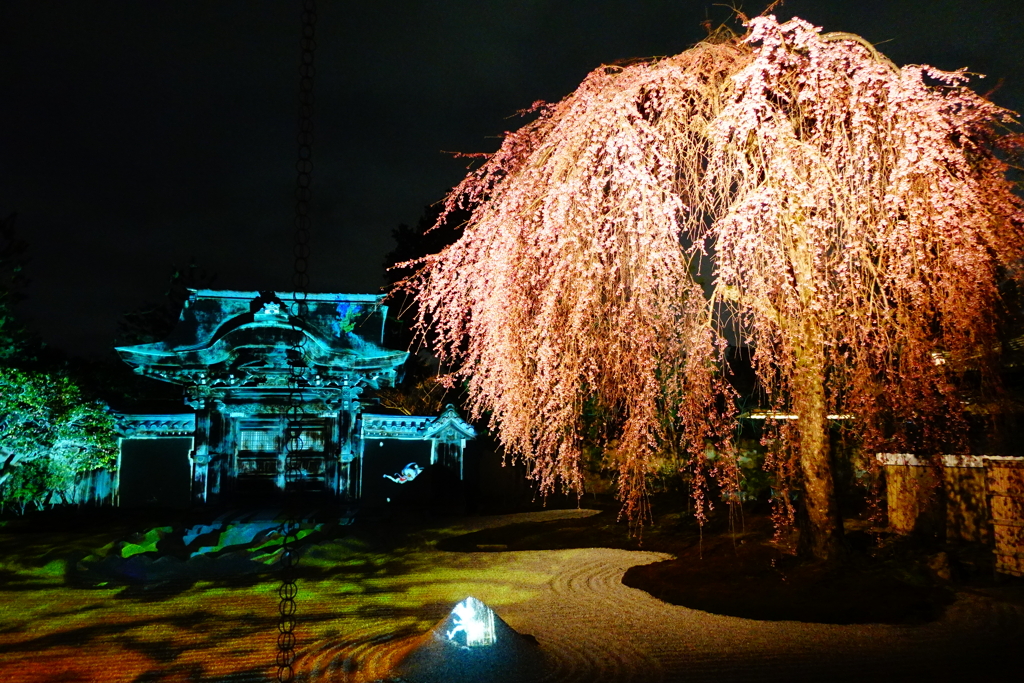 プロジェクションマッピング寺