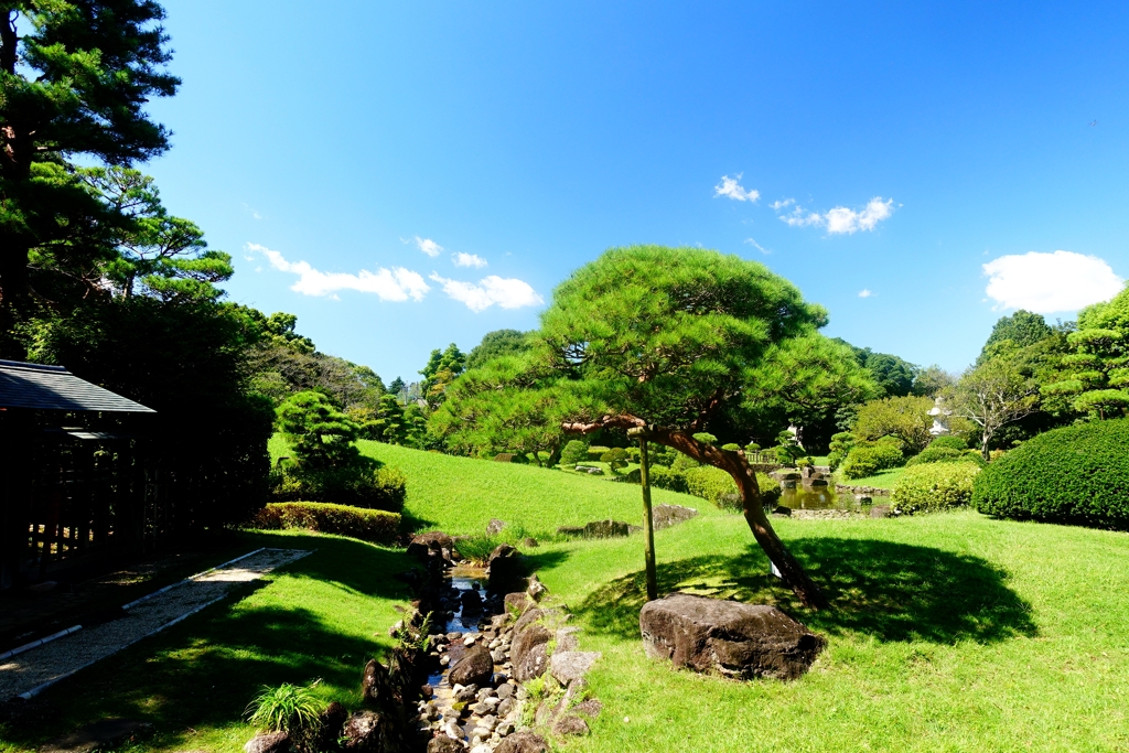 秋晴れの庭園