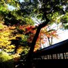 光と影と本土寺の紅葉 Ⅱ