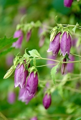 03416DC4-17F7-4B97-B19A-2D9D384C3C8E