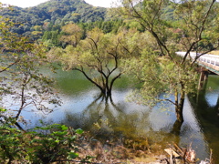 豊田湖畔公園