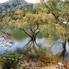 豊田湖畔公園