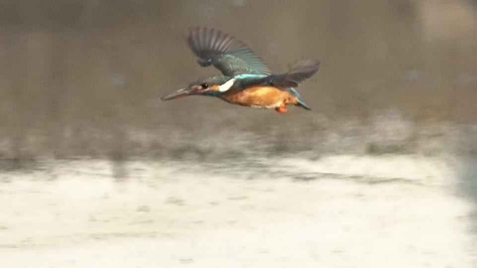 3EFCC0F7-1C66-4047-9FB2-065632456A92