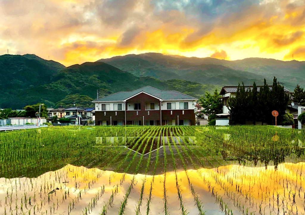 95432400-6330-441E-82DD-464964E60BC3