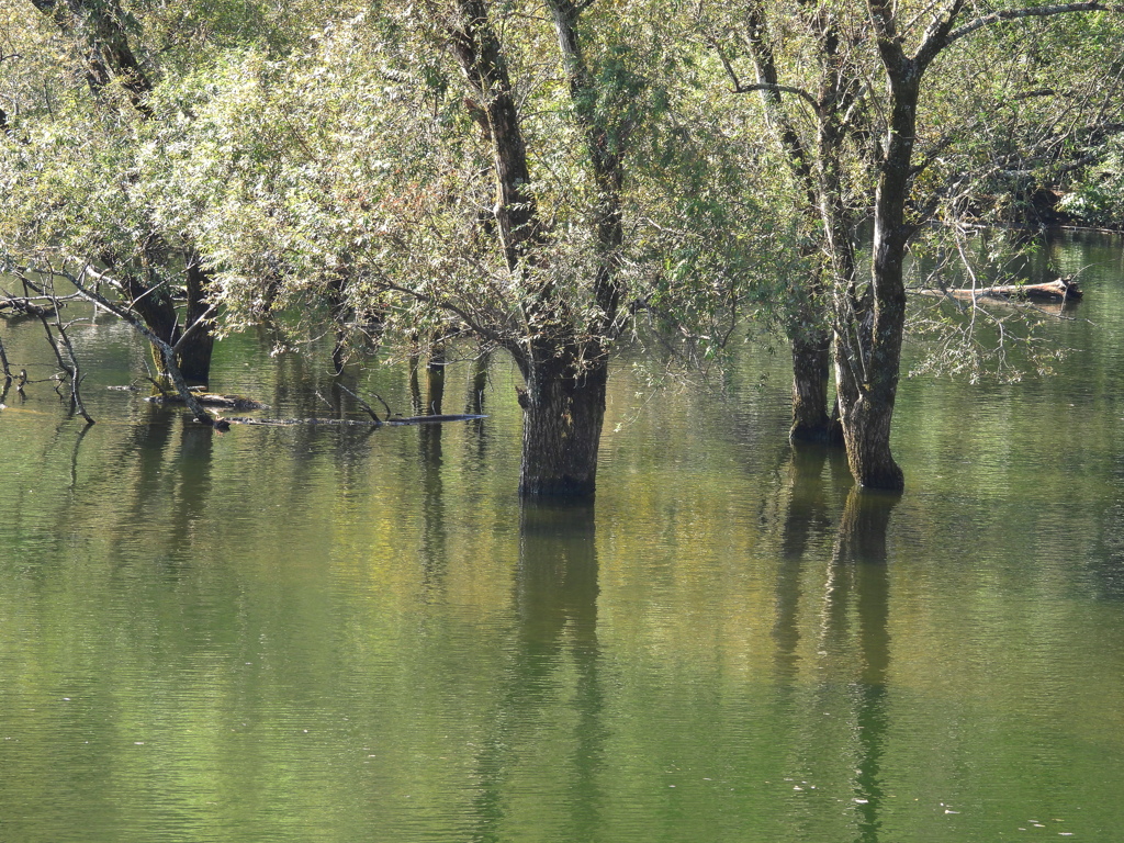 豊田湖畔公園