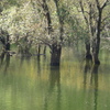 豊田湖畔公園