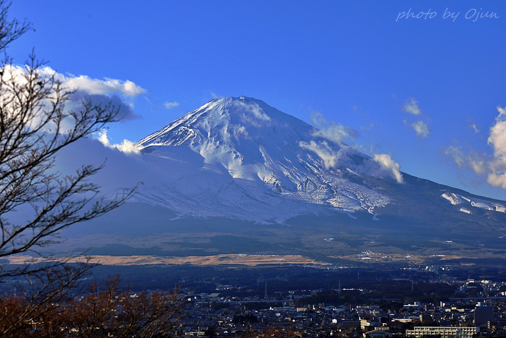 がっつり雪化粧