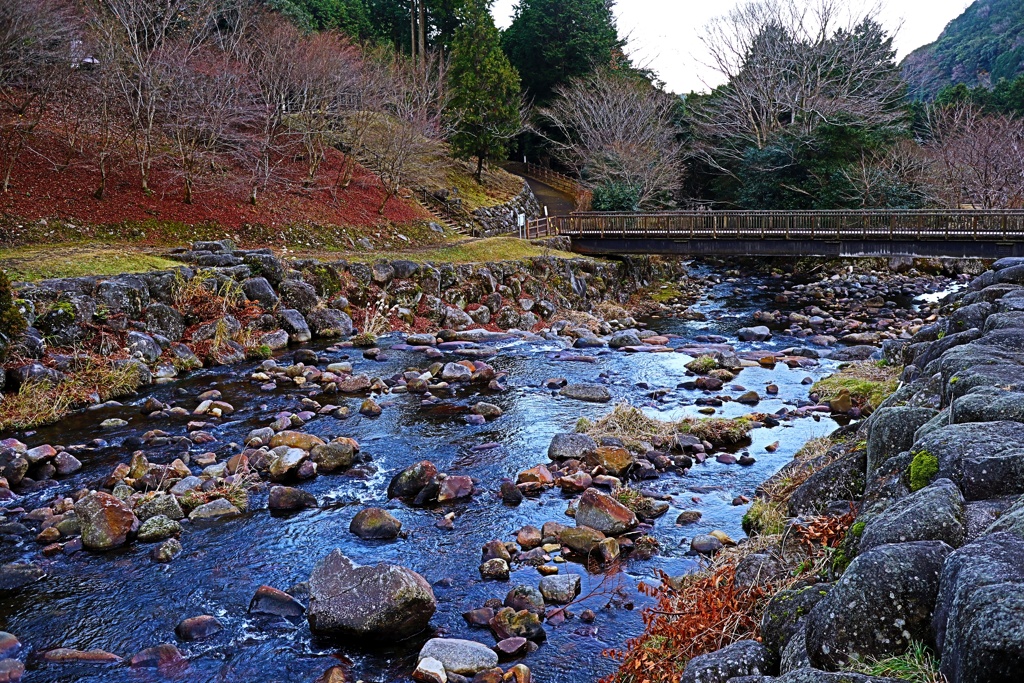 水と緑の杜公園