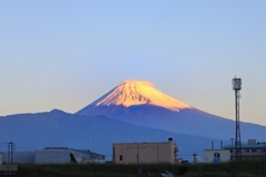 朝富士山