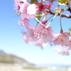 綺麗だなぁ