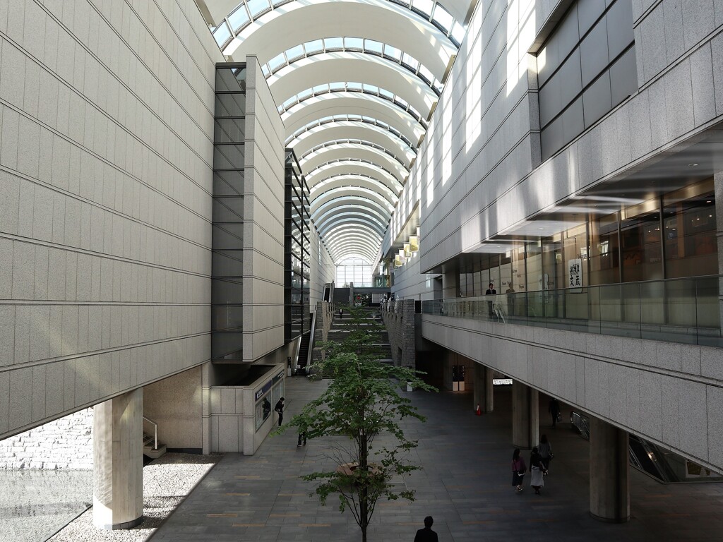 幾何学的